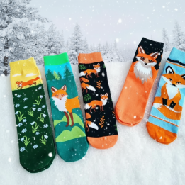 Coffret 5 Chaussettes Renard Fantaisie & Colorées | Socks Story